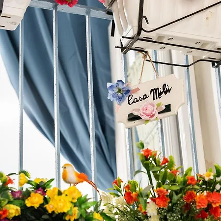 Casa Milu アパート *