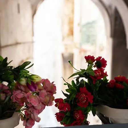 Appartement Casa Milu *